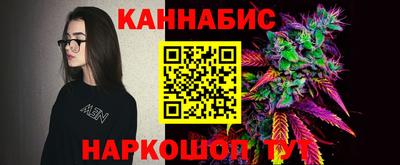 Альфа ПВП Будённовск