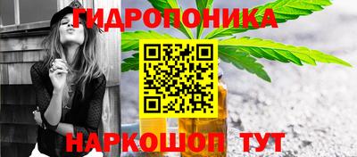 Альфа ПВП Будённовск