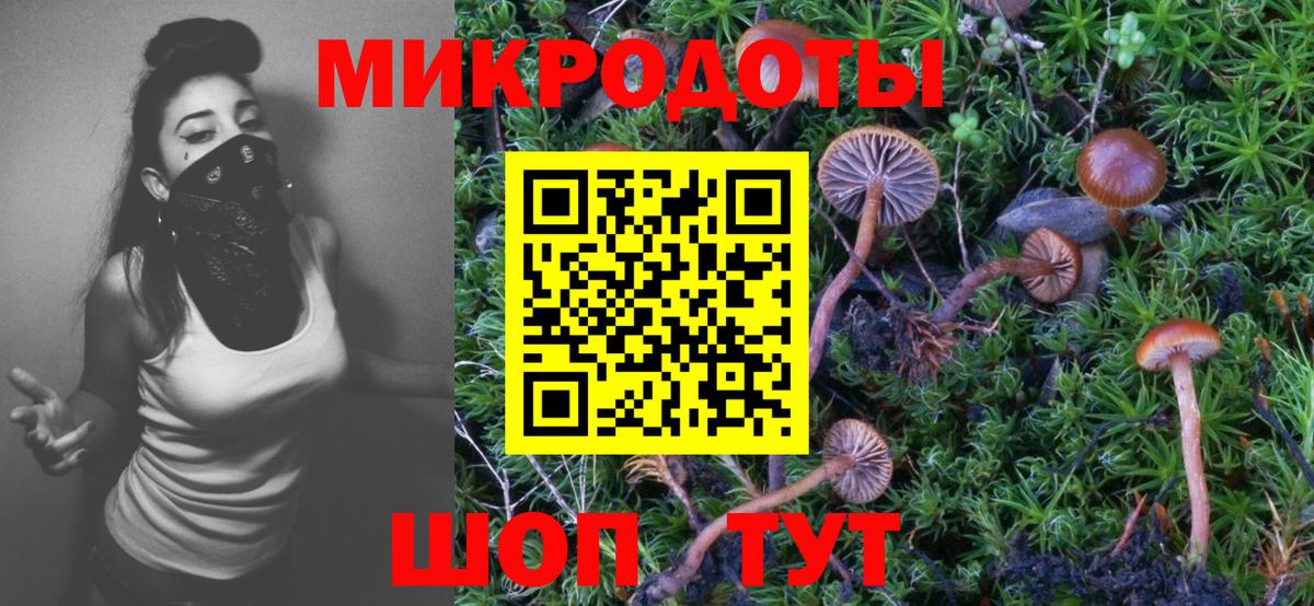 Галлюциногенные грибы мухоморы  Вход с VPN  Кудымкар  Псилоцибиновые грибы прущие грибы 