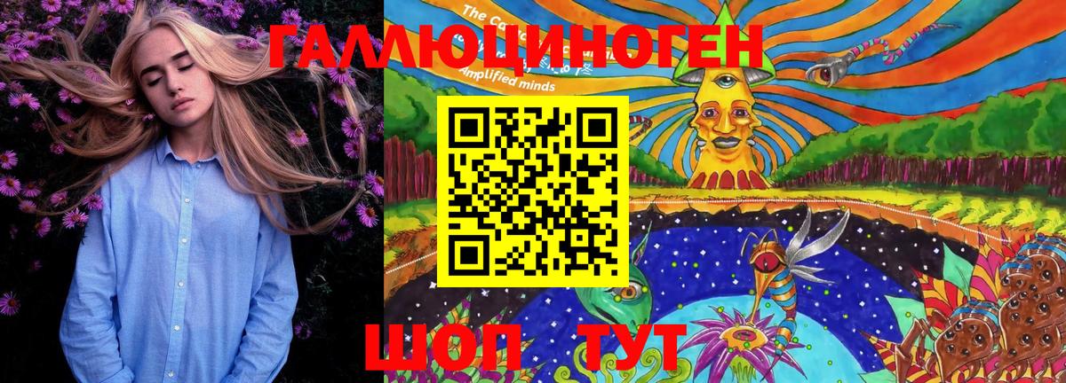 Галлюциногенные грибы Psilocybine cubensis Кудымкар